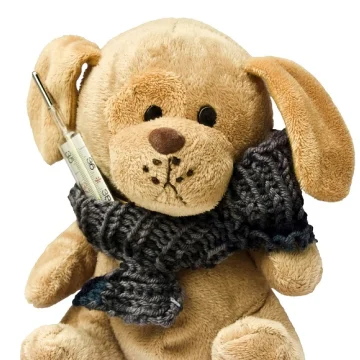 Teddybär mit Thermometer und Schal – Symbolbild für sanfte, kinderfreundliche homöopathische Behandlung